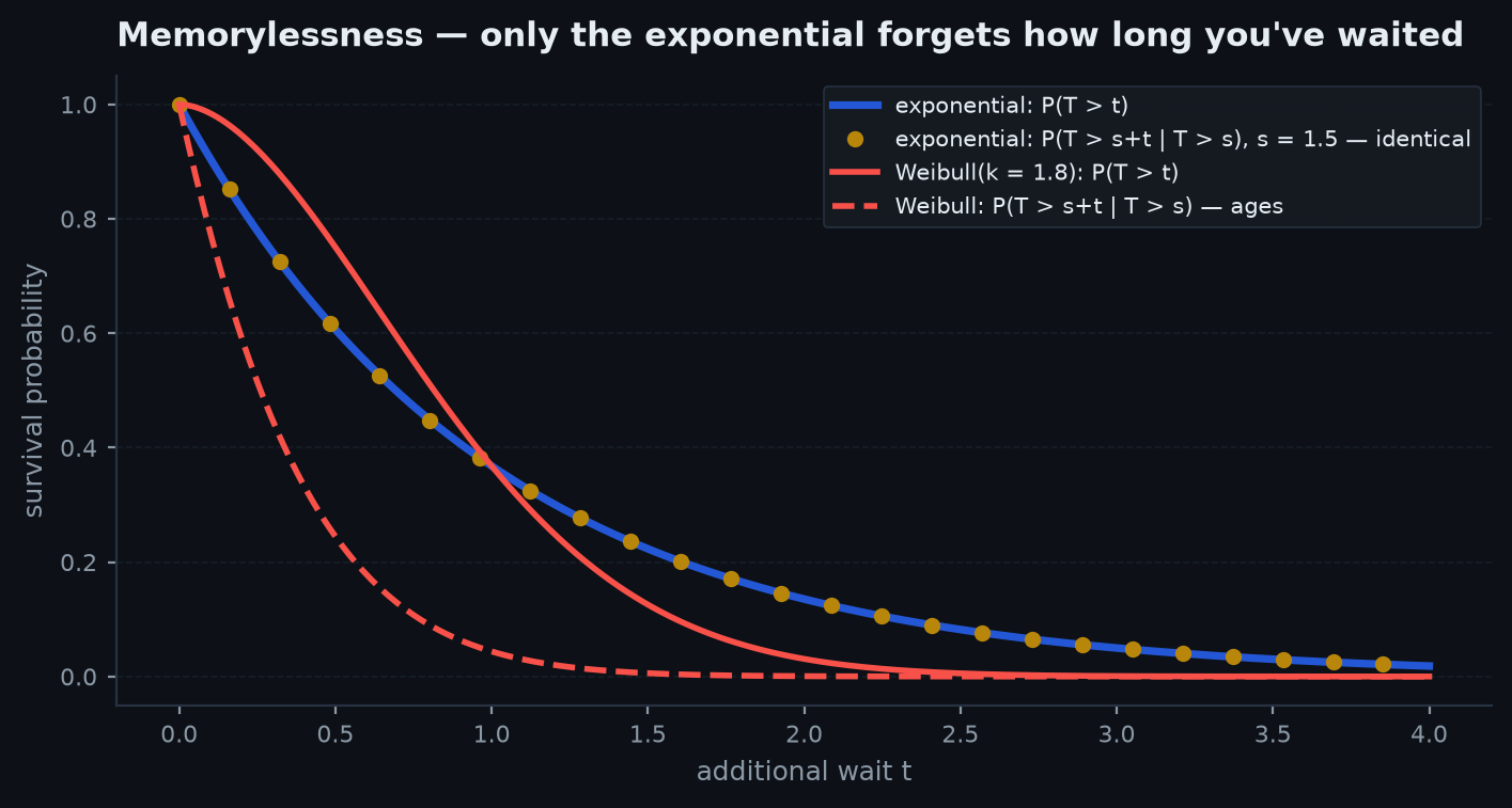 Exponential survival curve with the conditional survival after waiting s overlaid exactly on the original curve, illustrating memorylessness