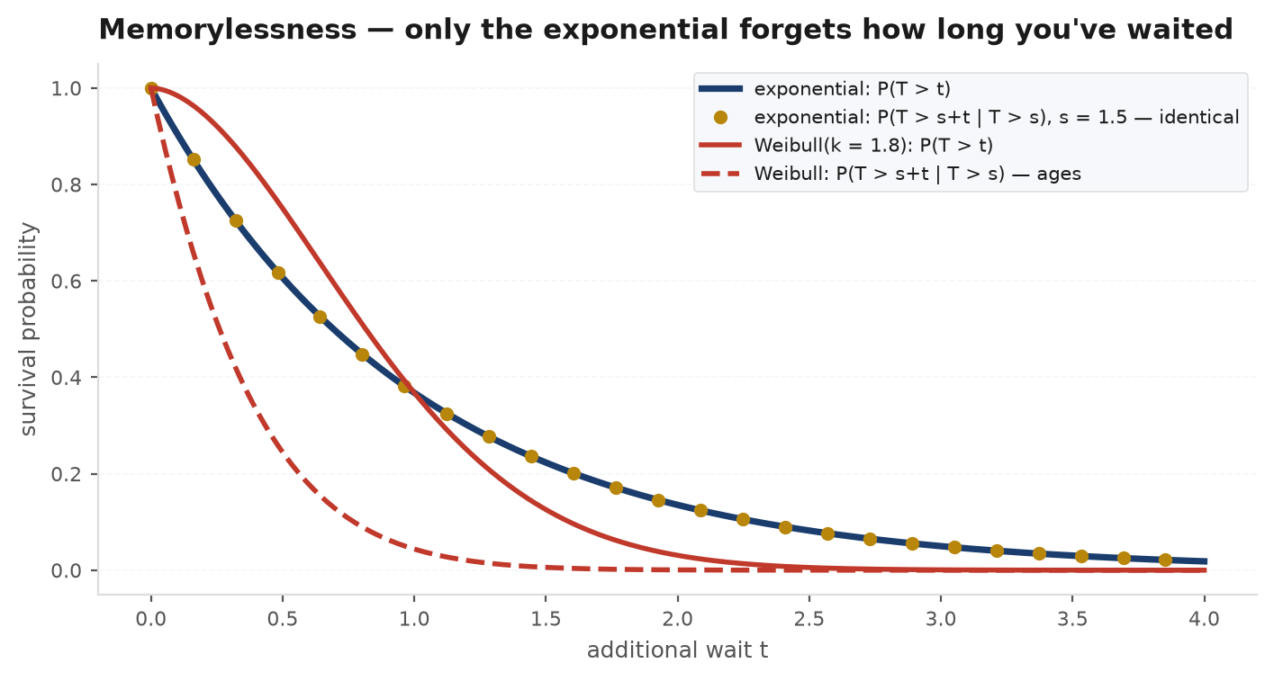 Exponential survival curve with the conditional survival after waiting s overlaid exactly on the original curve, illustrating memorylessness