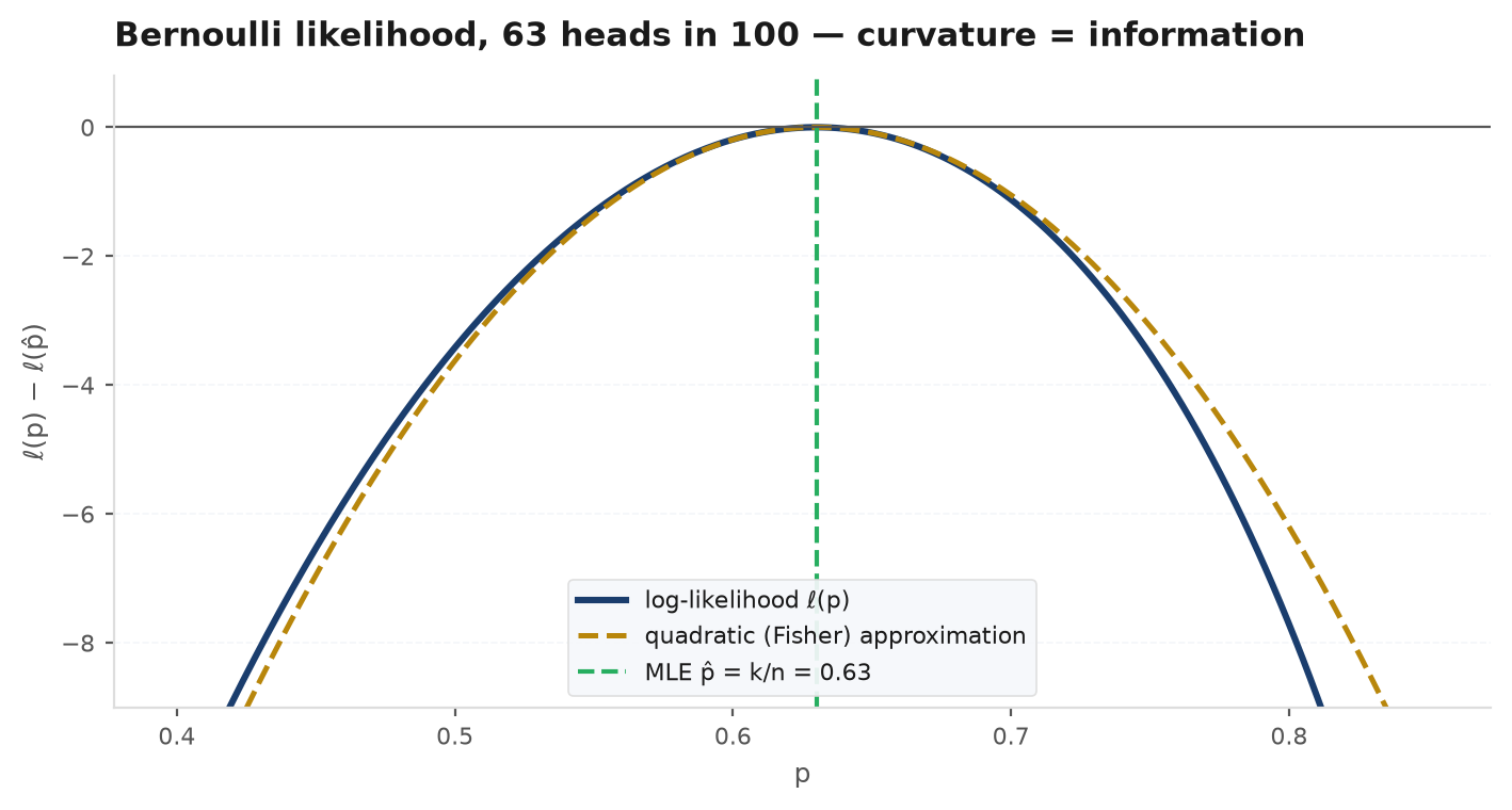 Log-likelihood surface for a normal model over mu and sigma, peaked at the sample mean and the MLE sigma, with contour lines showing curvature